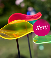 Lucy MEDIO yellow, 
red and green!